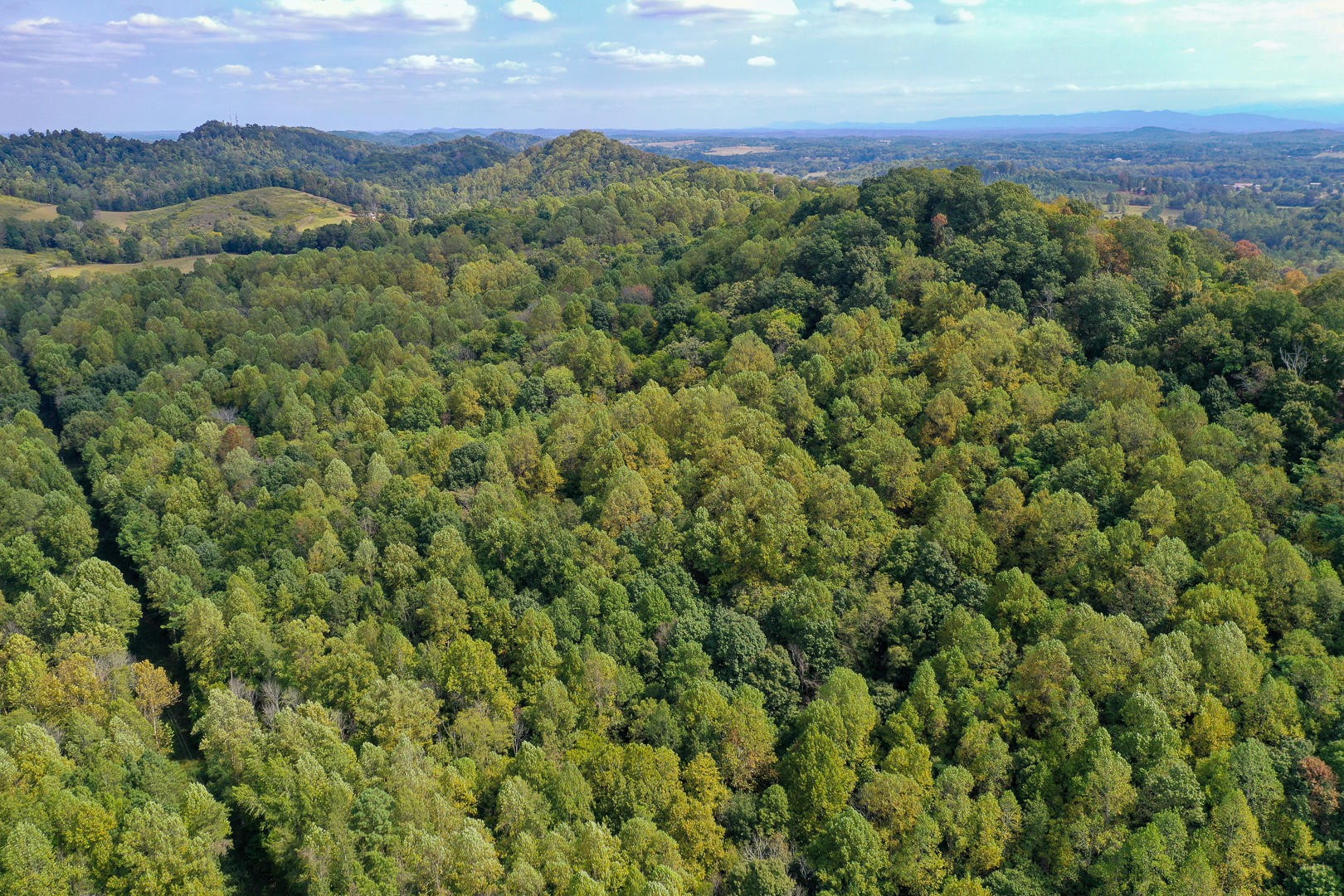 509 Red Ankle Road Sweetwater, TN 37874 - Photo 9 of 10 Gallery Image 9