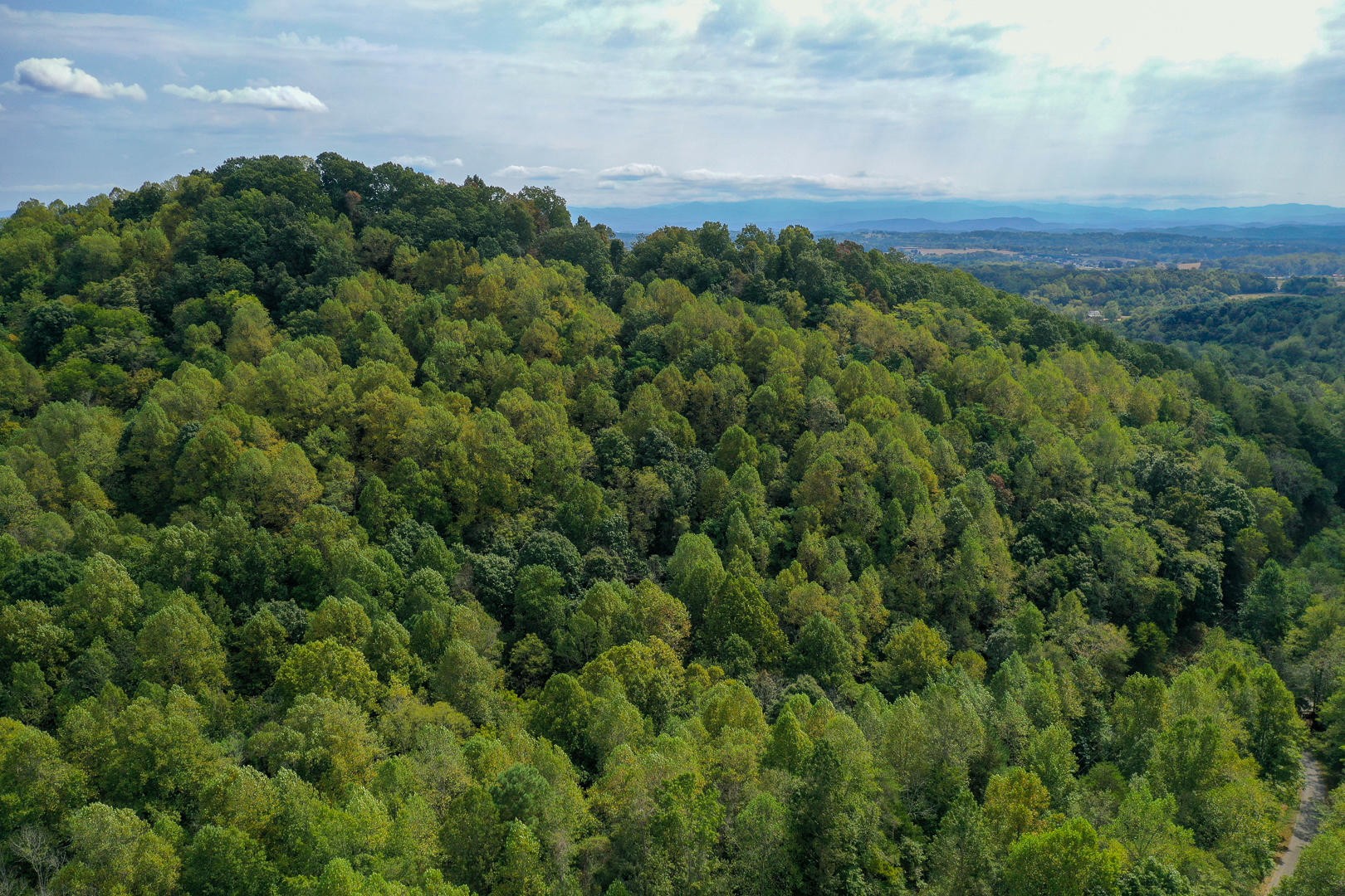 509 Red Ankle Road Sweetwater, TN 37874 - Photo 10 of 10 Gallery Image 10
