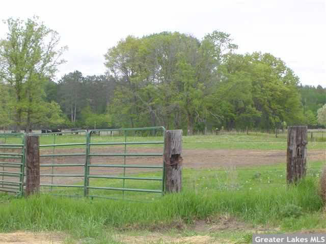 19980 Hanks Road Ironton, MN 56455 - Photo 5 of 12 Gallery Image 5