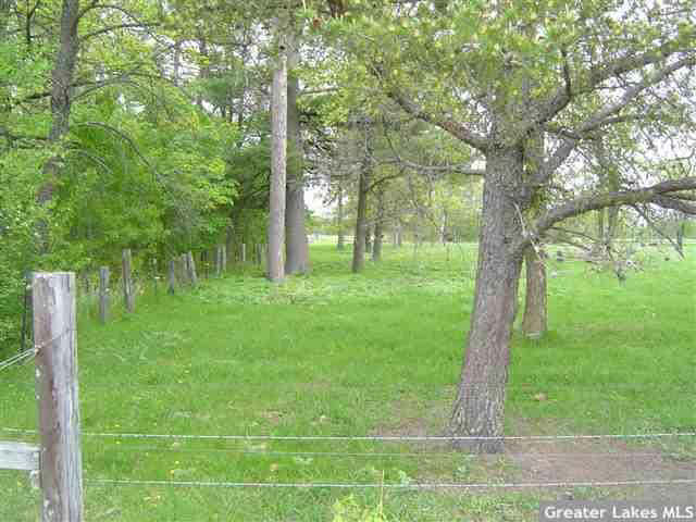 19980 Hanks Road Ironton, MN 56455 - Photo 6 of 12 Gallery Image 6