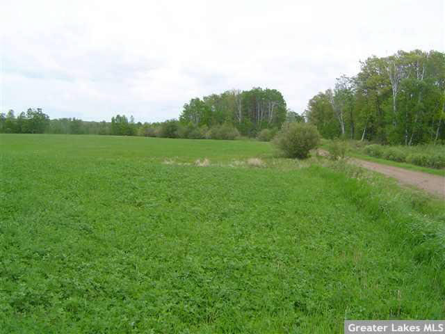 19980 Hanks Road Ironton, MN 56455 - Photo 9 of 12 Gallery Image 9
