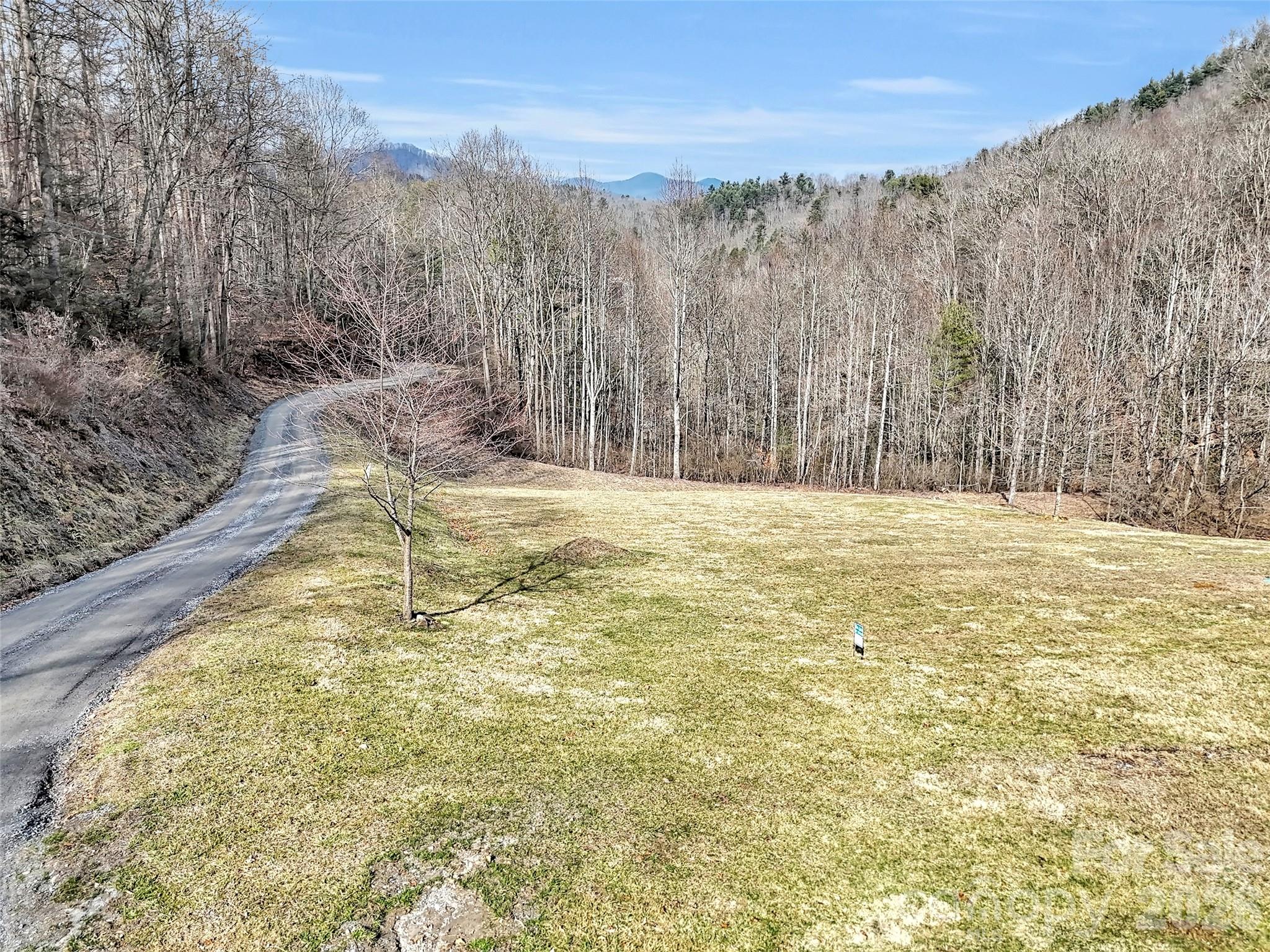 0 Seay Mountain Road Waynesville, NC 28785 - Photo 4 of 17