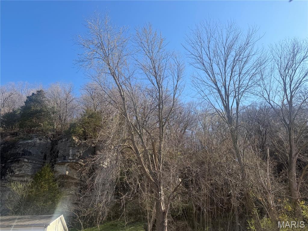 611 Bluff Road Prairie du Rocher, IL 62277 - Photo 3 of 27
