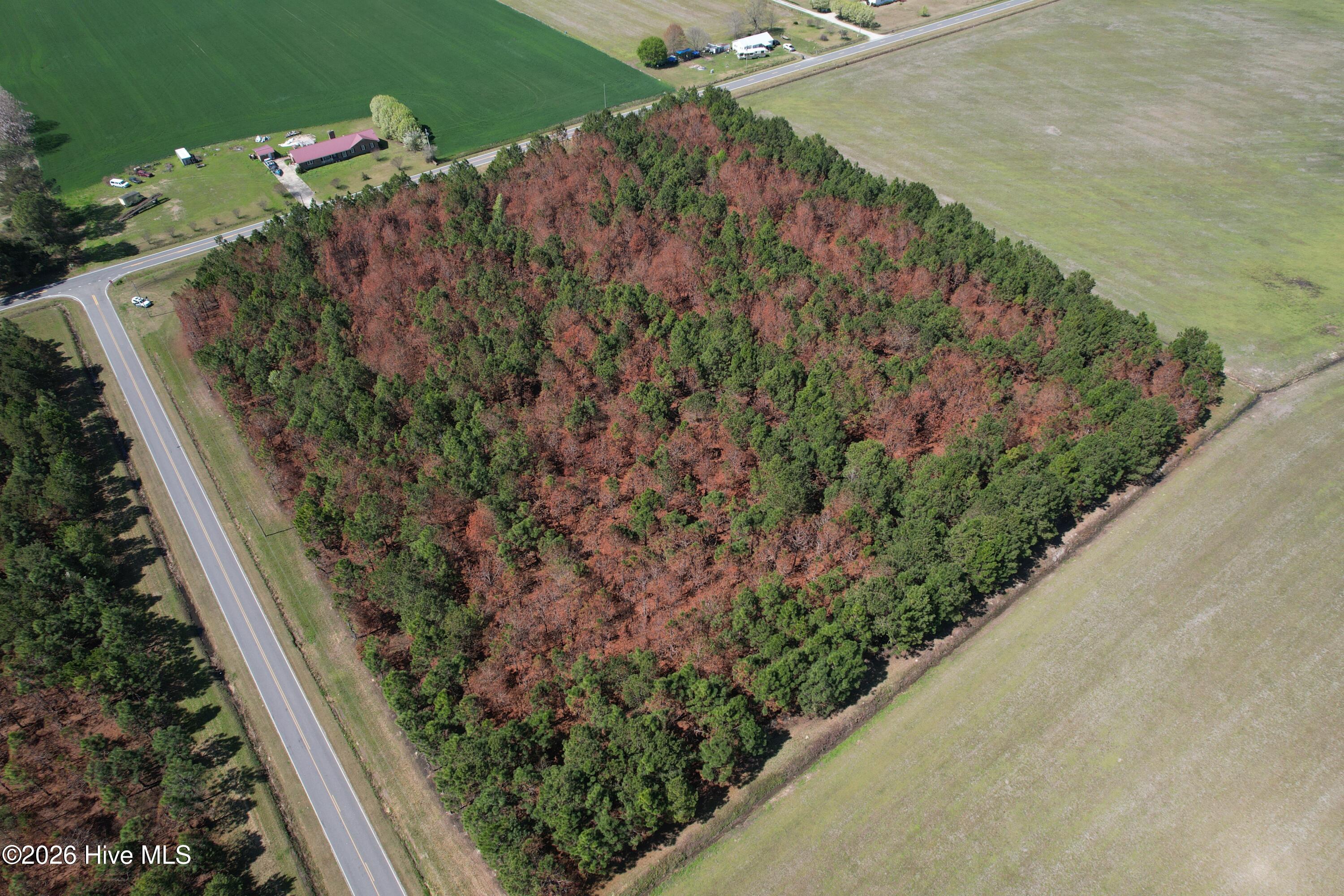 0 Old Stake Road Clarendon, NC 28432 - Photo 11 of 37 Image 9