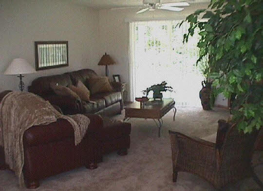 406 Mill Ridge Drive Byron, IL 61010 - Photo 2 of 5 Gallery Image 2