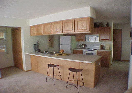 406 Mill Ridge Drive Byron, IL 61010 - Photo 3 of 5 Gallery Image 3