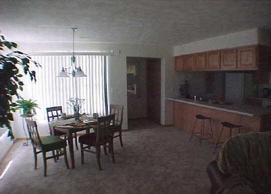 406 Mill Ridge Drive Byron, IL 61010 - Photo 4 of 5 Gallery Image 4