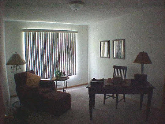 406 Mill Ridge Drive Byron, IL 61010 - Photo 5 of 5 Gallery Image 5