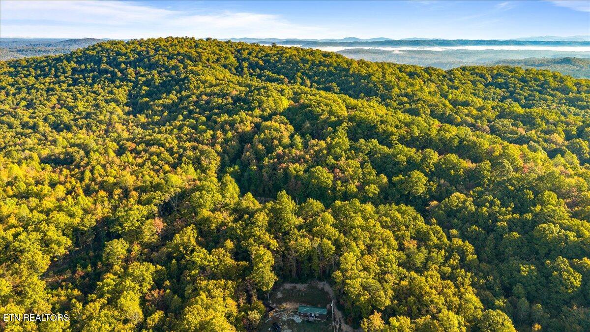 2579 Campground Road Sunbright, TN 37872 - Photo 11 of 52 47-Campground Rd