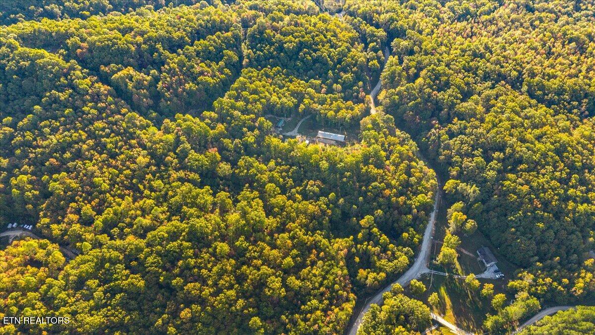 2579 Campground Road Sunbright, TN 37872 - Photo 12 of 52 44-Campground Rd