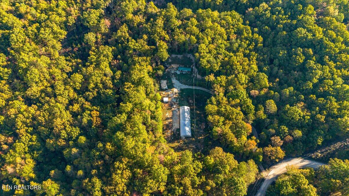 2579 Campground Road Sunbright, TN 37872 - Photo 8 of 52 46-Campground Rd