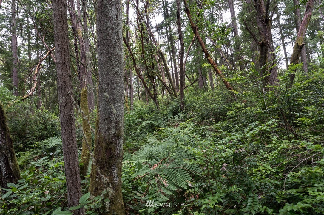 212 Monument Road Southwest Vashon, WA 98070 - Photo 1 of 4