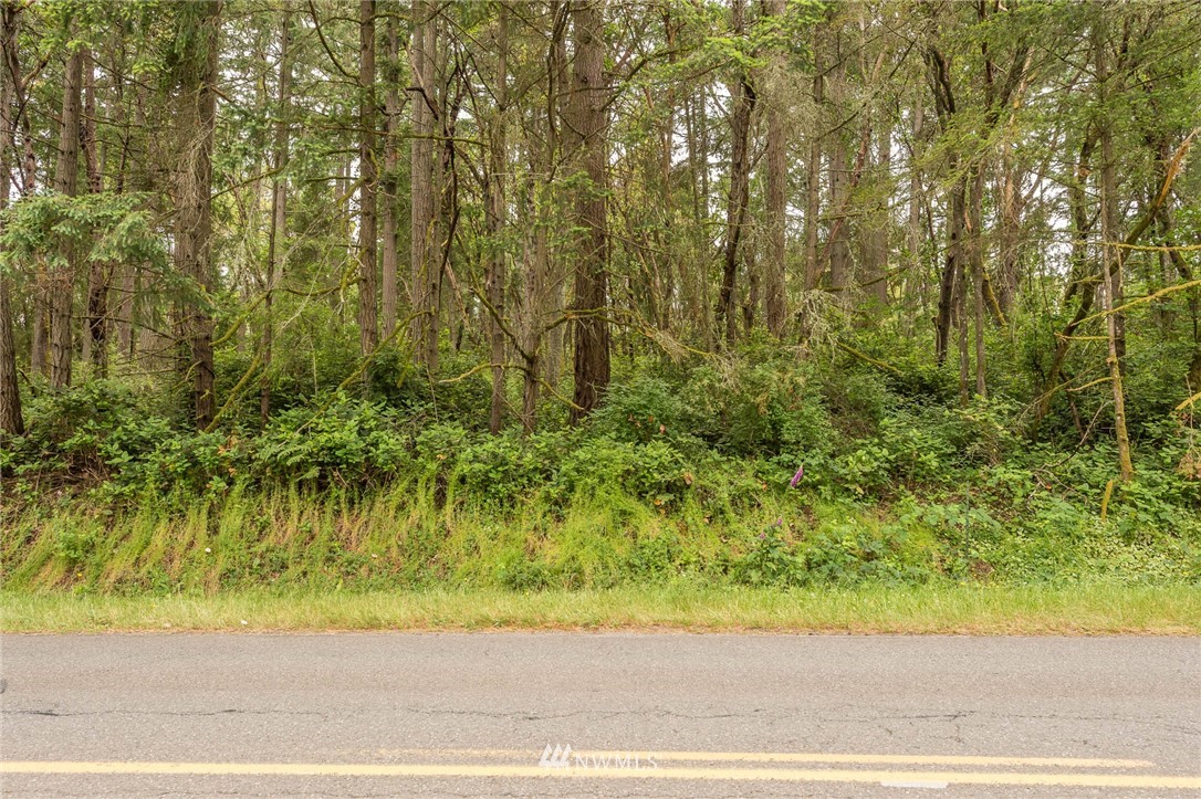 212 Monument Road Southwest Vashon, WA 98070 - Photo 2 of 4