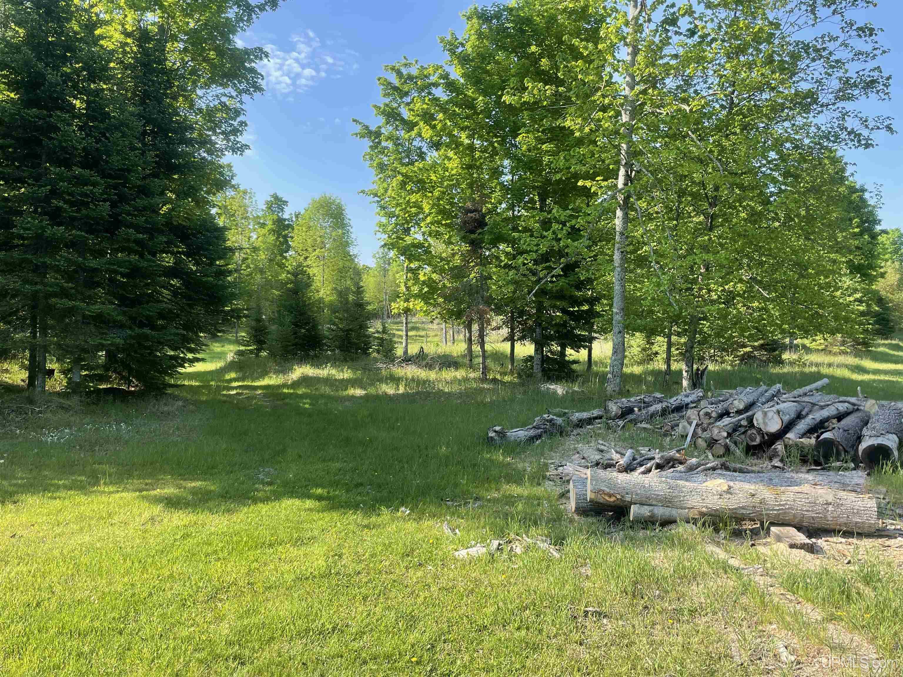W2588 31 Lane Daggett, MI 49821 - Photo 25 of 58
