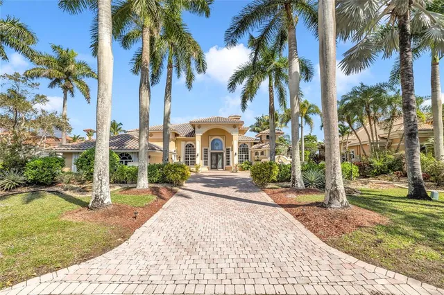 front view of a yard with palm trees