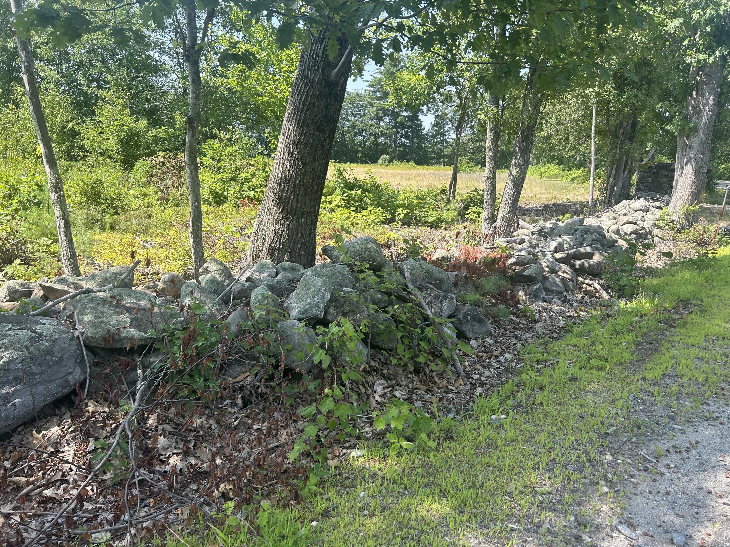 Tbd Hamilton Road Waterboro, ME 04087 - Photo 12 of 12 IMG_0371