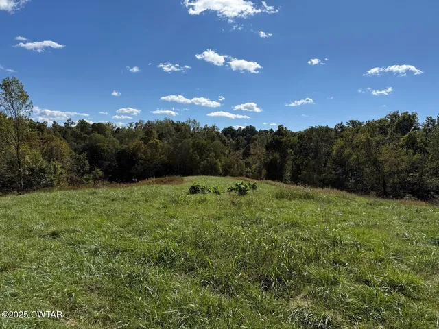 a view of a big yard of a house with a large tree
