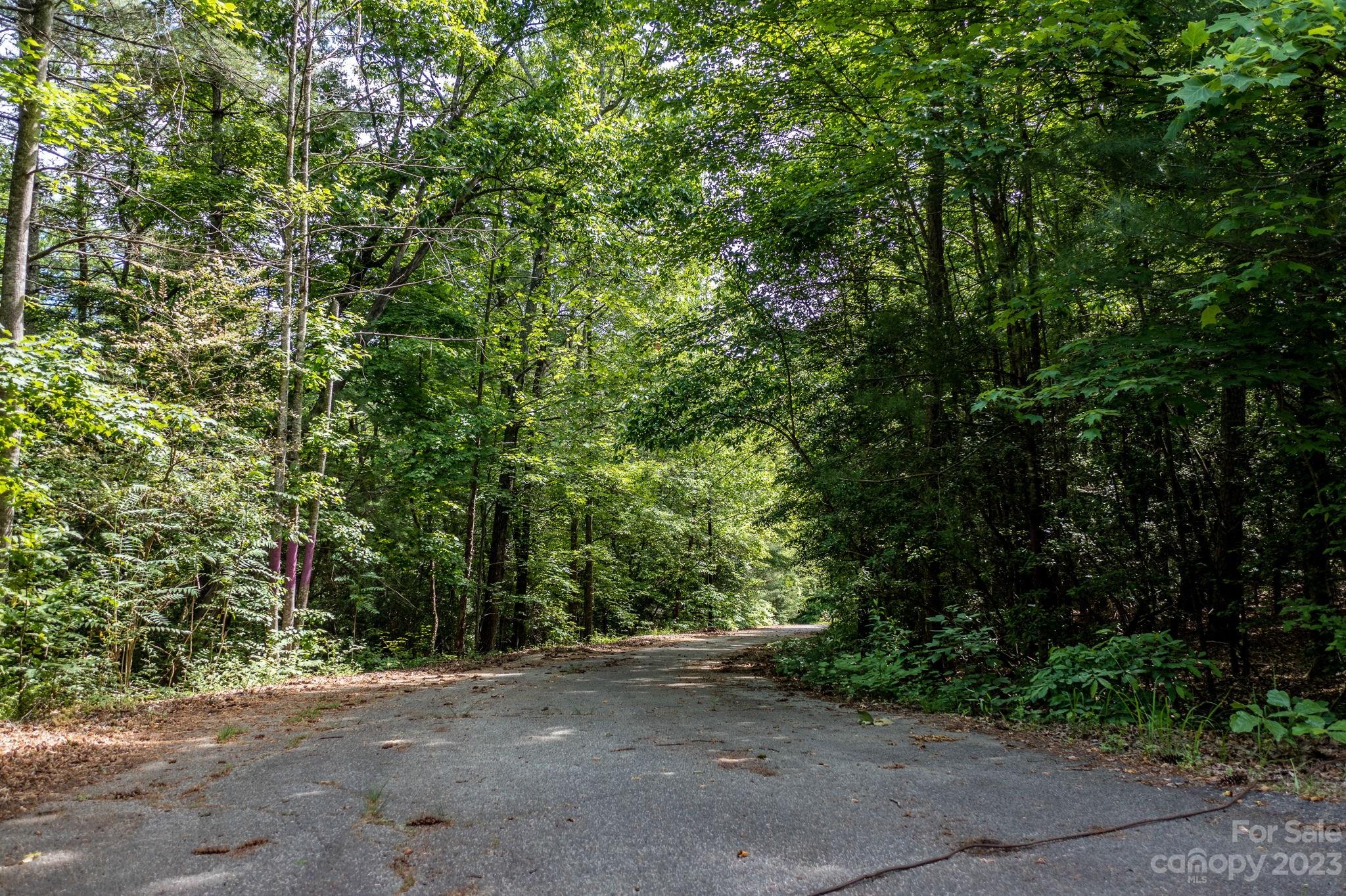 211 Fox Ridge Lane Hickory, NC 28601 - Photo 44 of 48 Gallery Image 44