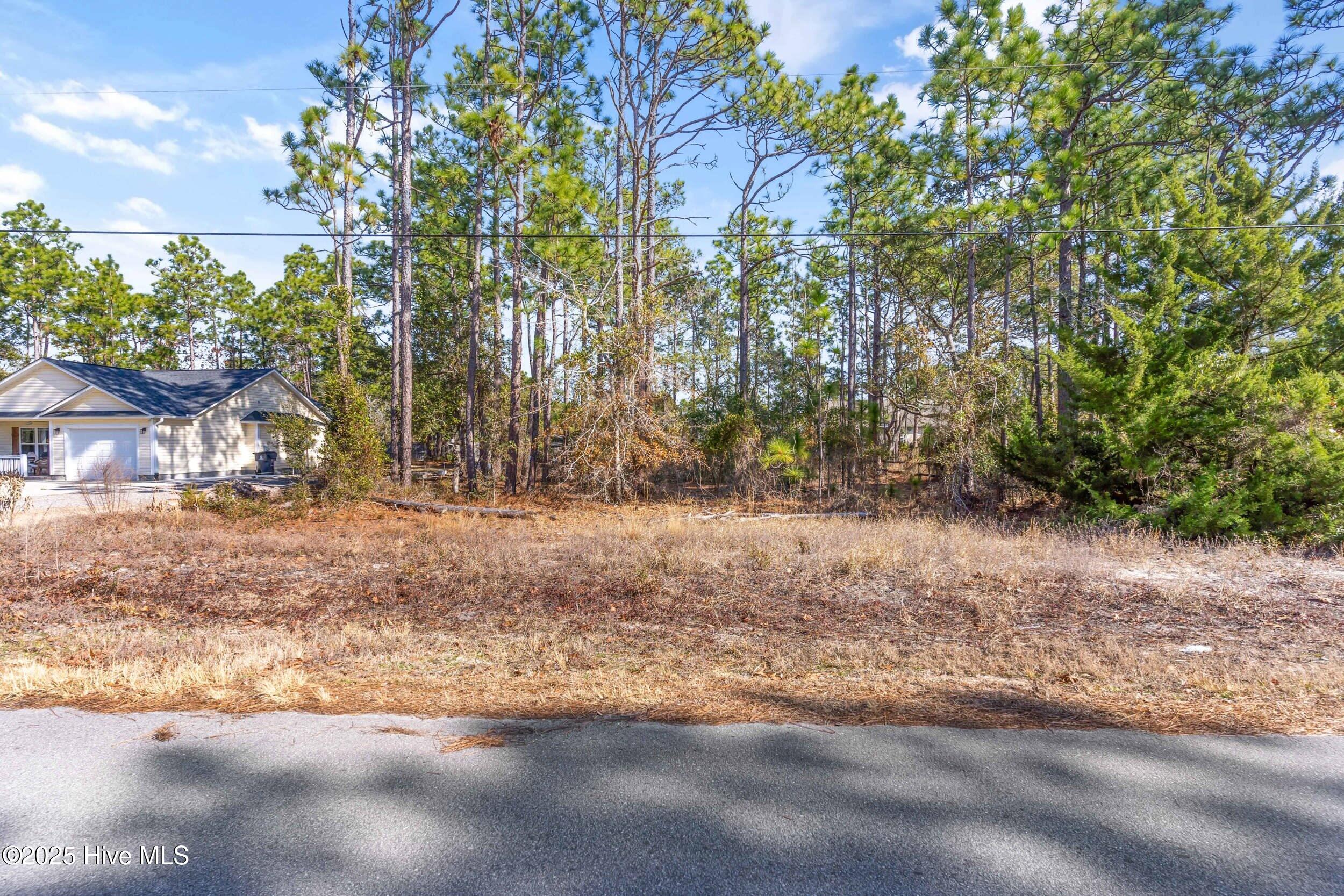 44 Ash Road Southport, NC 28461 - Photo 55 of 74 44ashrd_00041