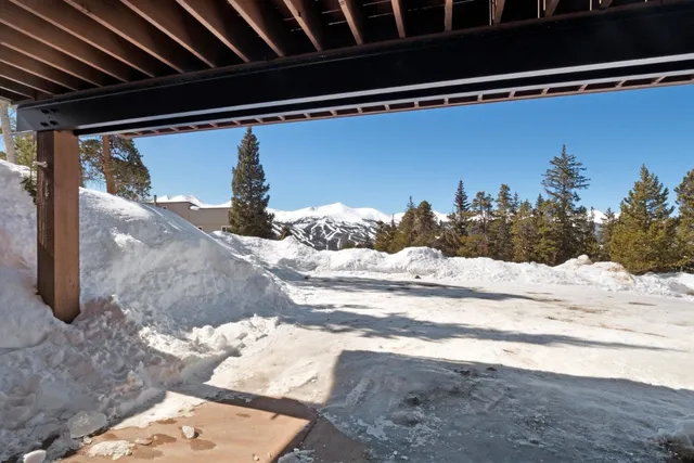 a backyard of a house with large trees