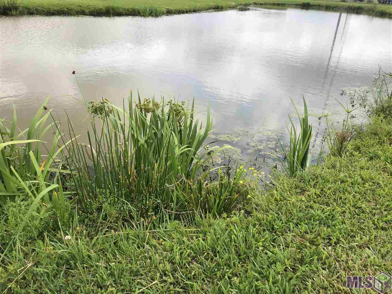 157 Colvan Street Raceland, LA 70394 - Photo 2 of 3