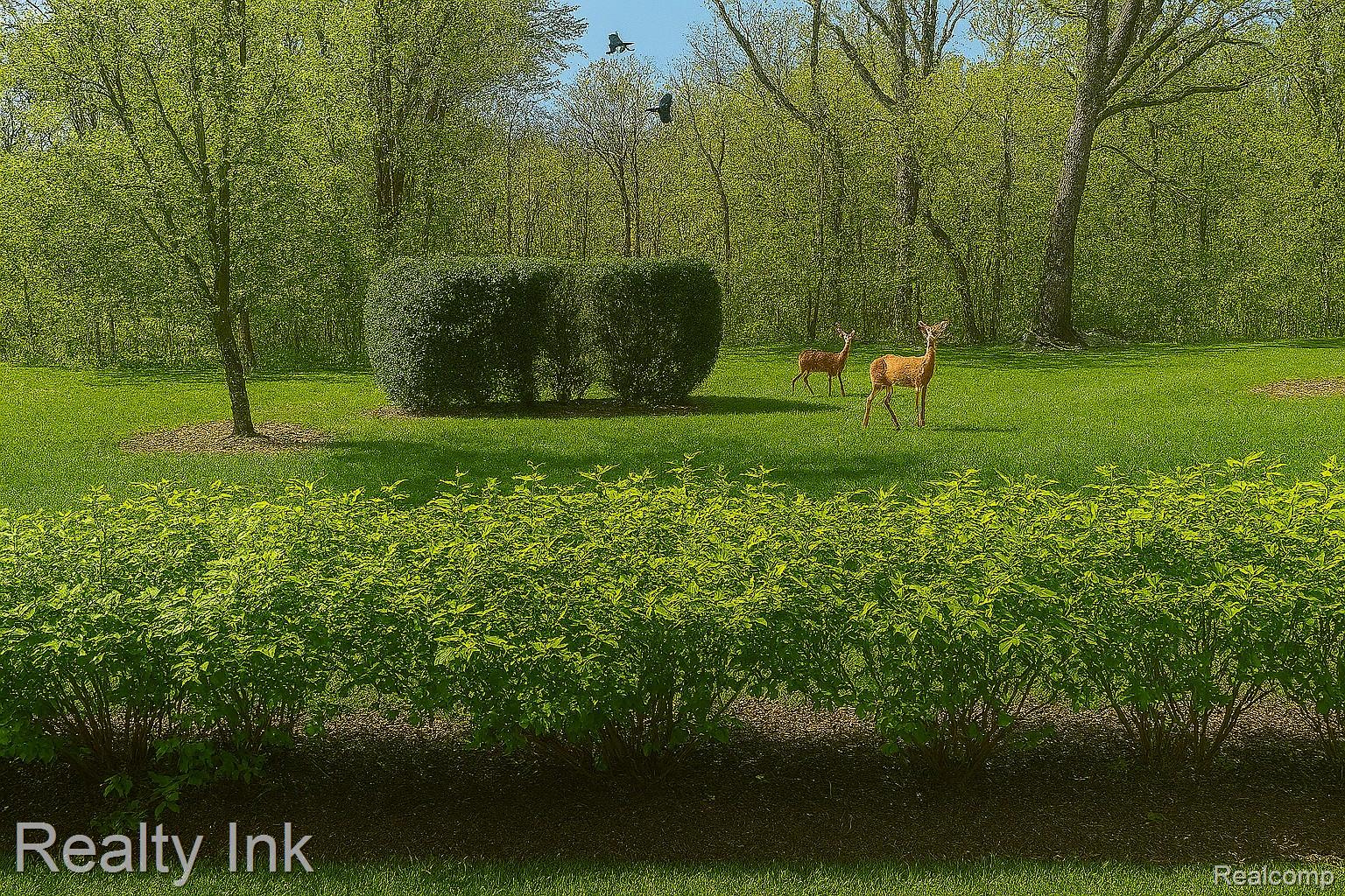 3399 Tremonte Circle Rochester, MI 48306 - Photo 10 of 14 View from patio looking at woods and nature.