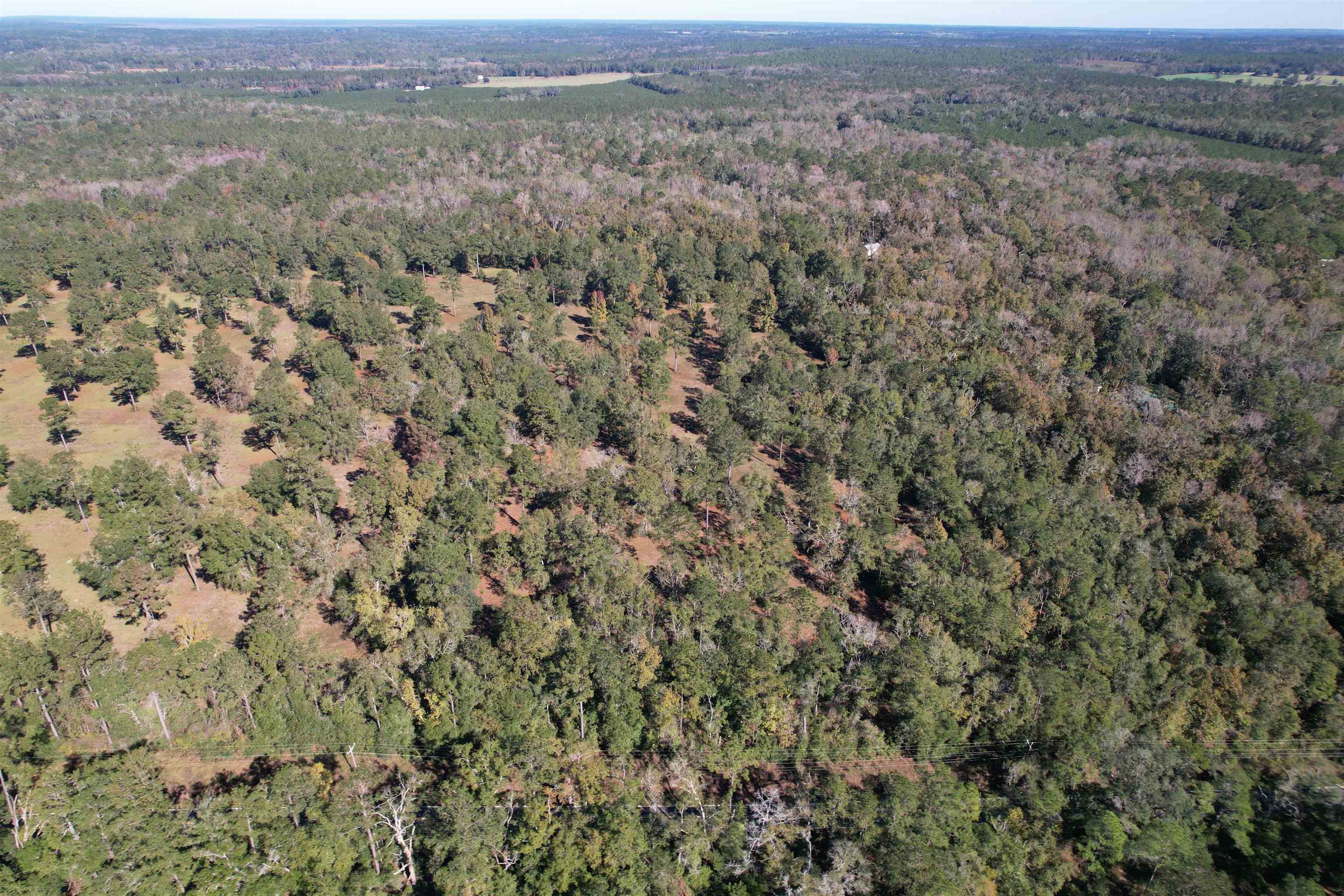 Lot 3 Watermill Road Monticello, FL 32344 - Photo 8 of 19 Gallery Image 8
