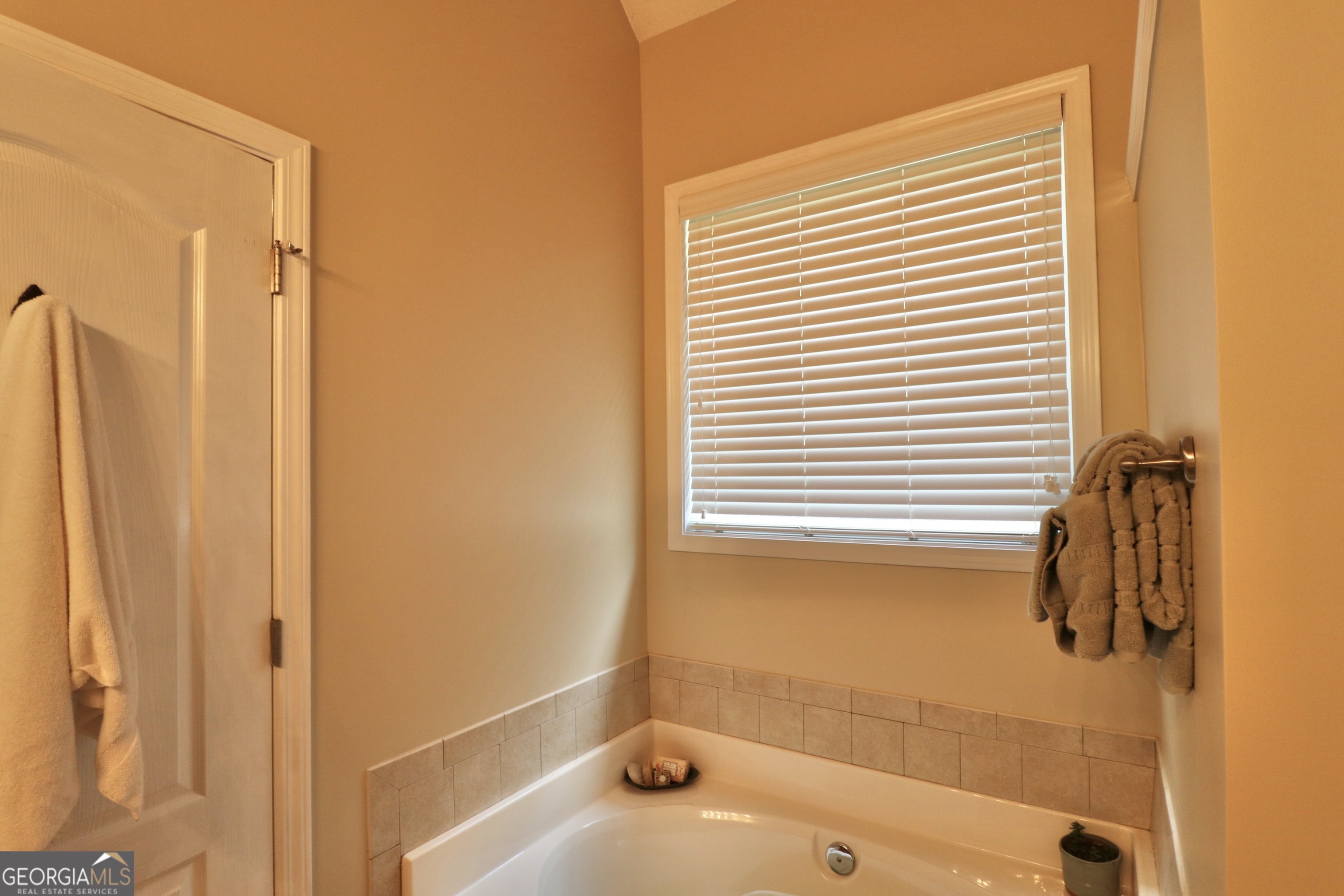 190 Roundtree Way Williamson, GA 30292 - Photo 38 of 73 a bathroom with a tub and a shower