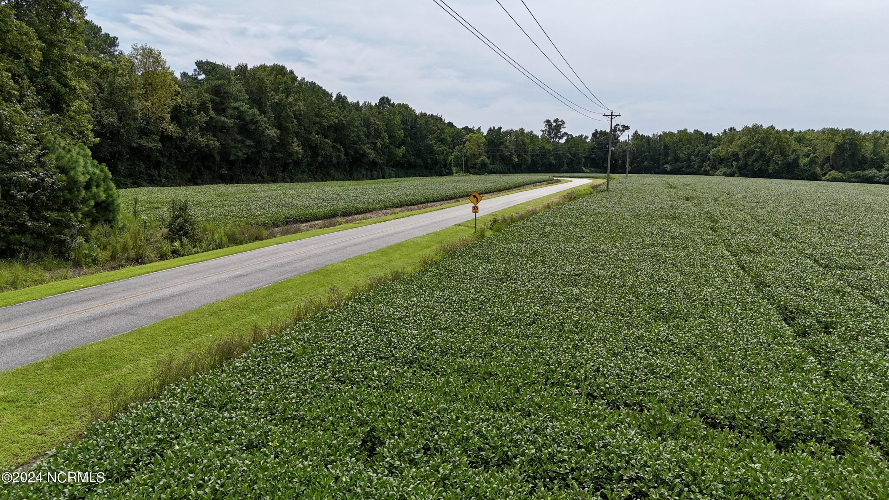 0 Earl Davis Road Teachey, NC 28464 - Photo 8 of 8 road 2
