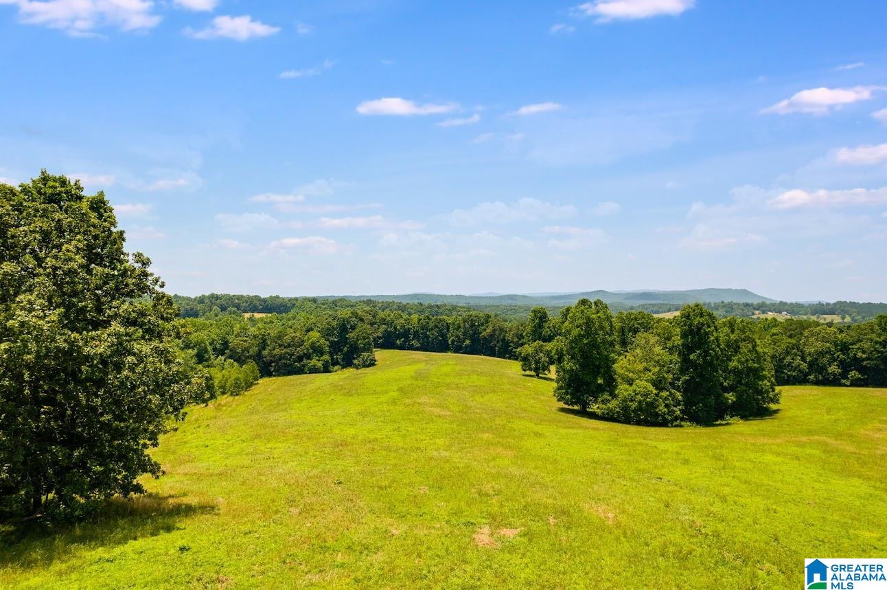 14791 County Road 10, Unit 45 ACRES Ranburne, AL 36273 - Photo 6 of 43