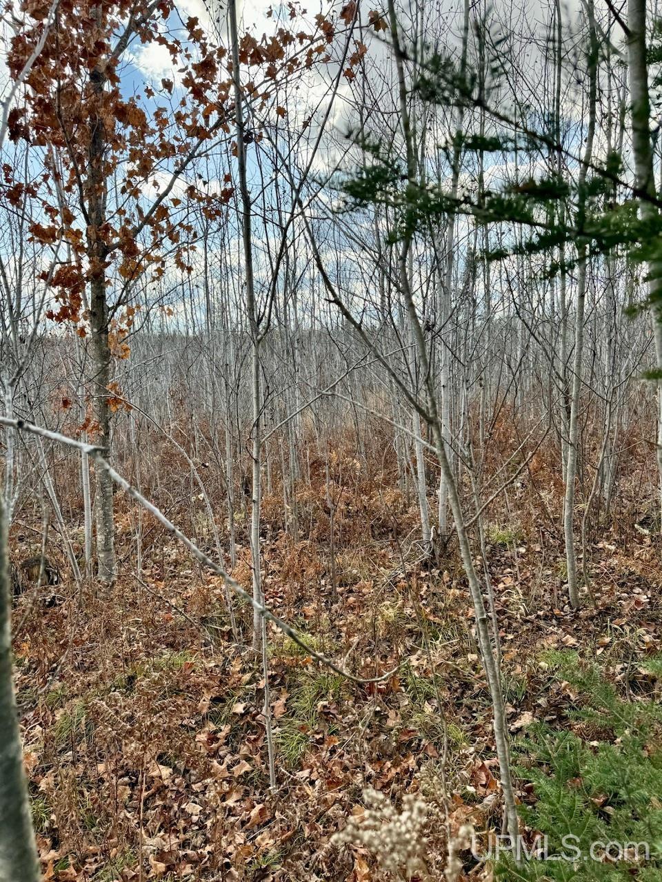 27.5 Rd 28 Acres Trail Gladstone, MI 49837 - Photo 24 of 24