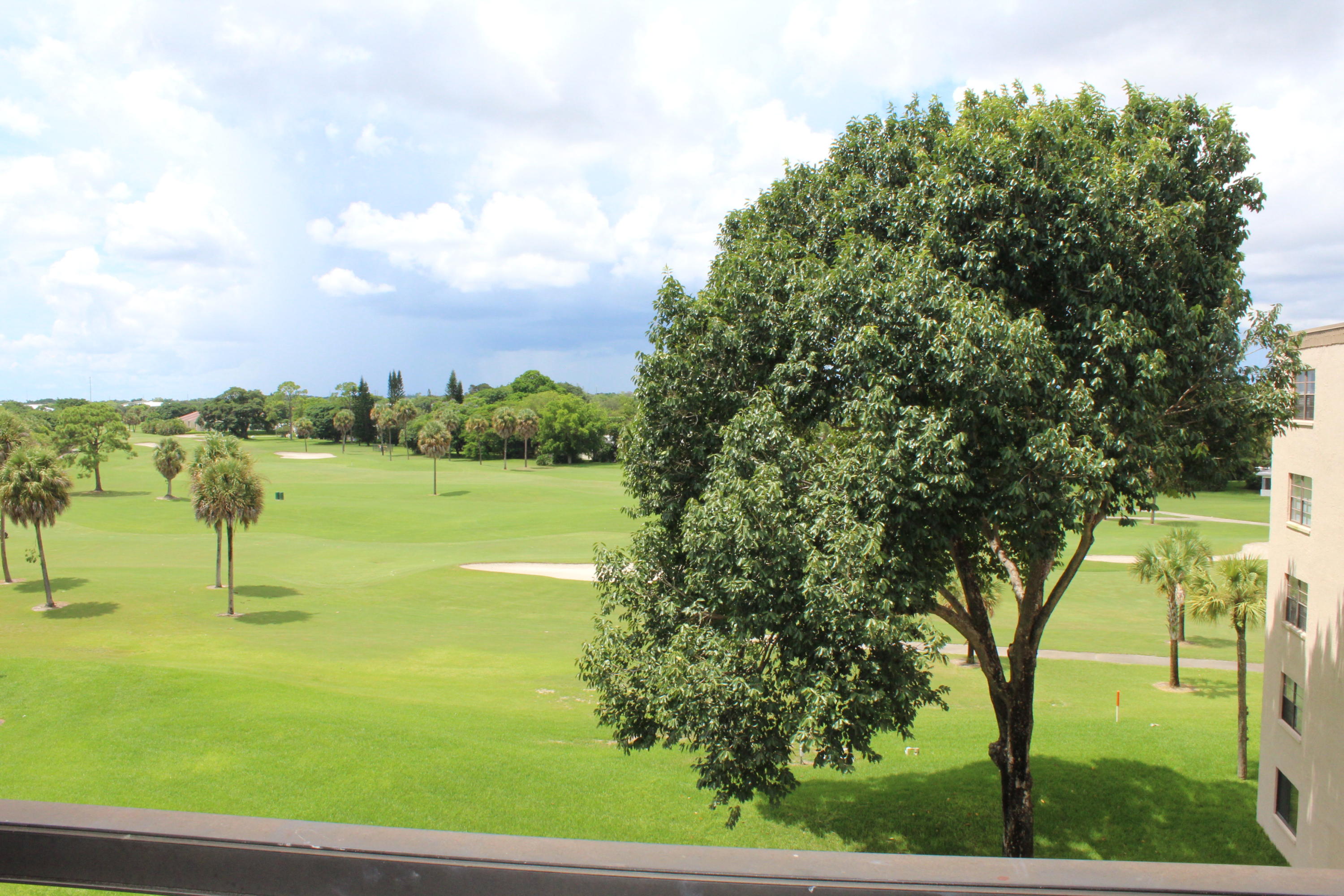 a view of an outdoor space and trees in the background