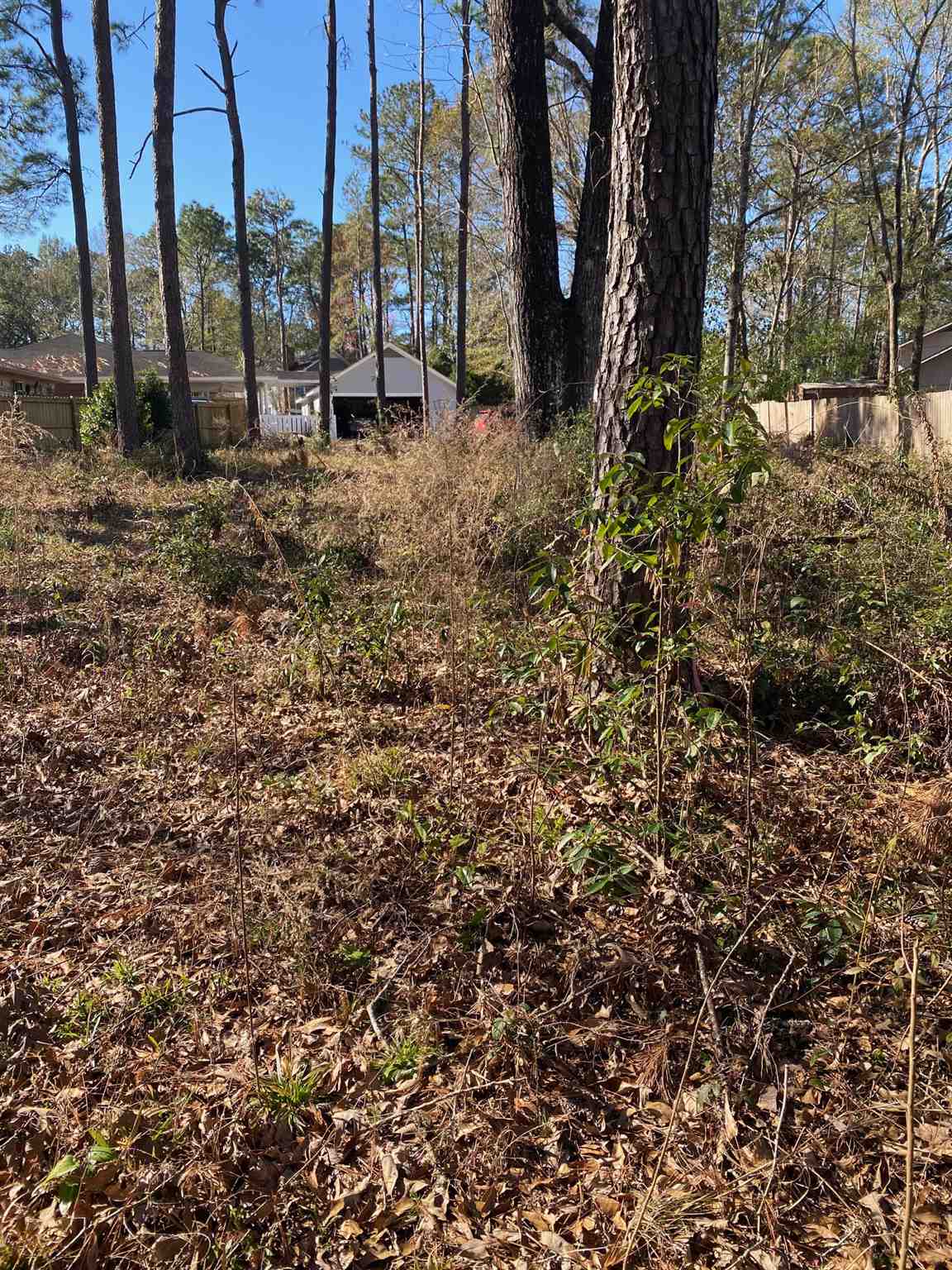 607 Ridgewood Drive Daphne, AL 36526 - Photo 6 of 8