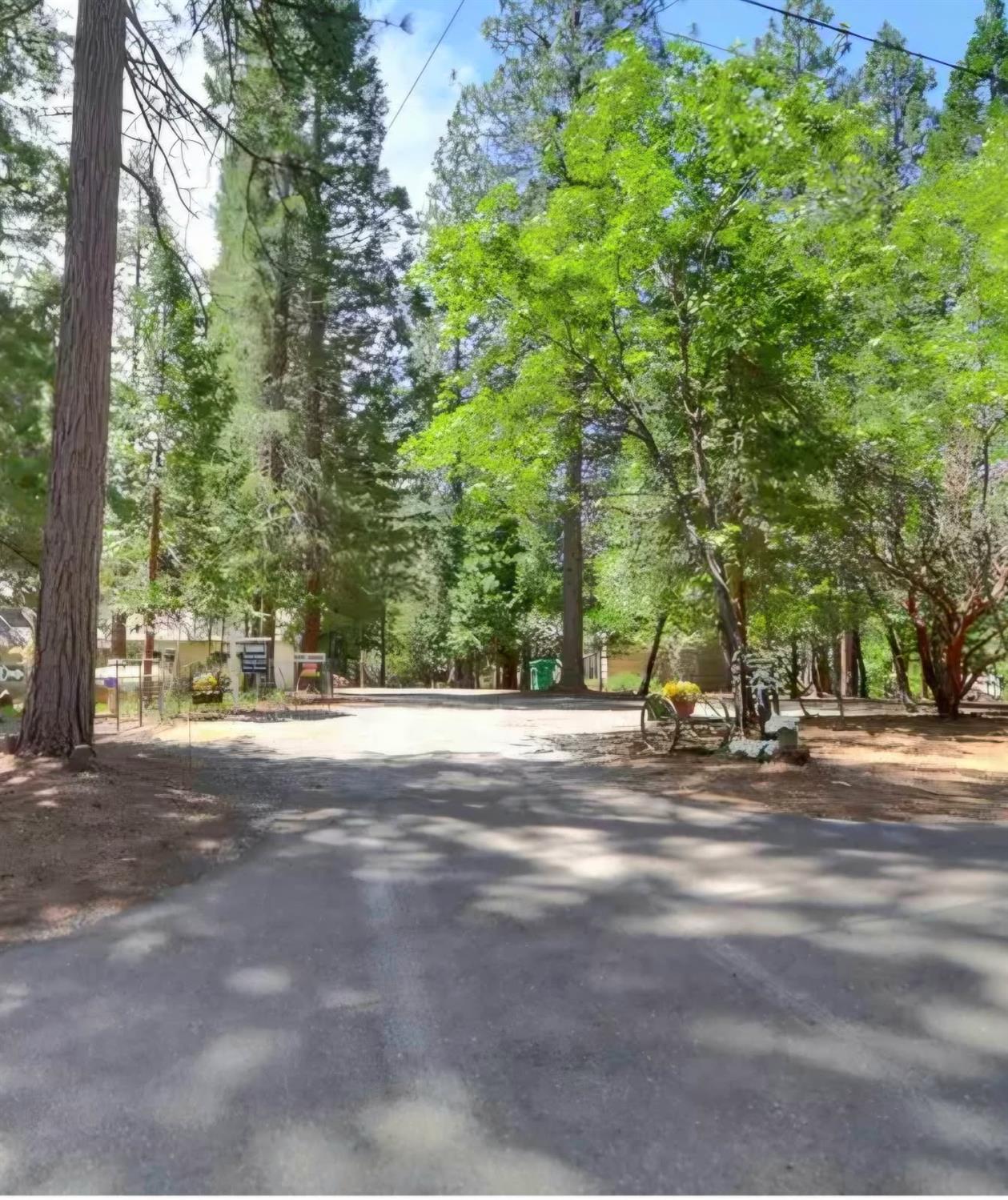 5695 Juarez Road Pollock Pines, CA 95726 - Photo 28 of 28