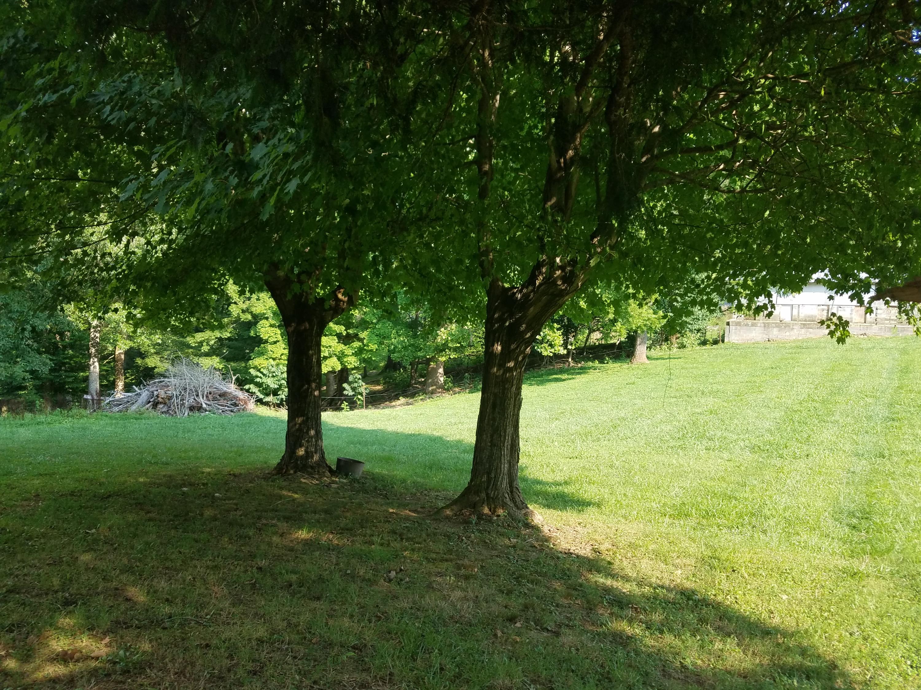 616 Haw Ridge Road Piney Flats, TN 37686 - Photo 4 of 20 20210727_175822