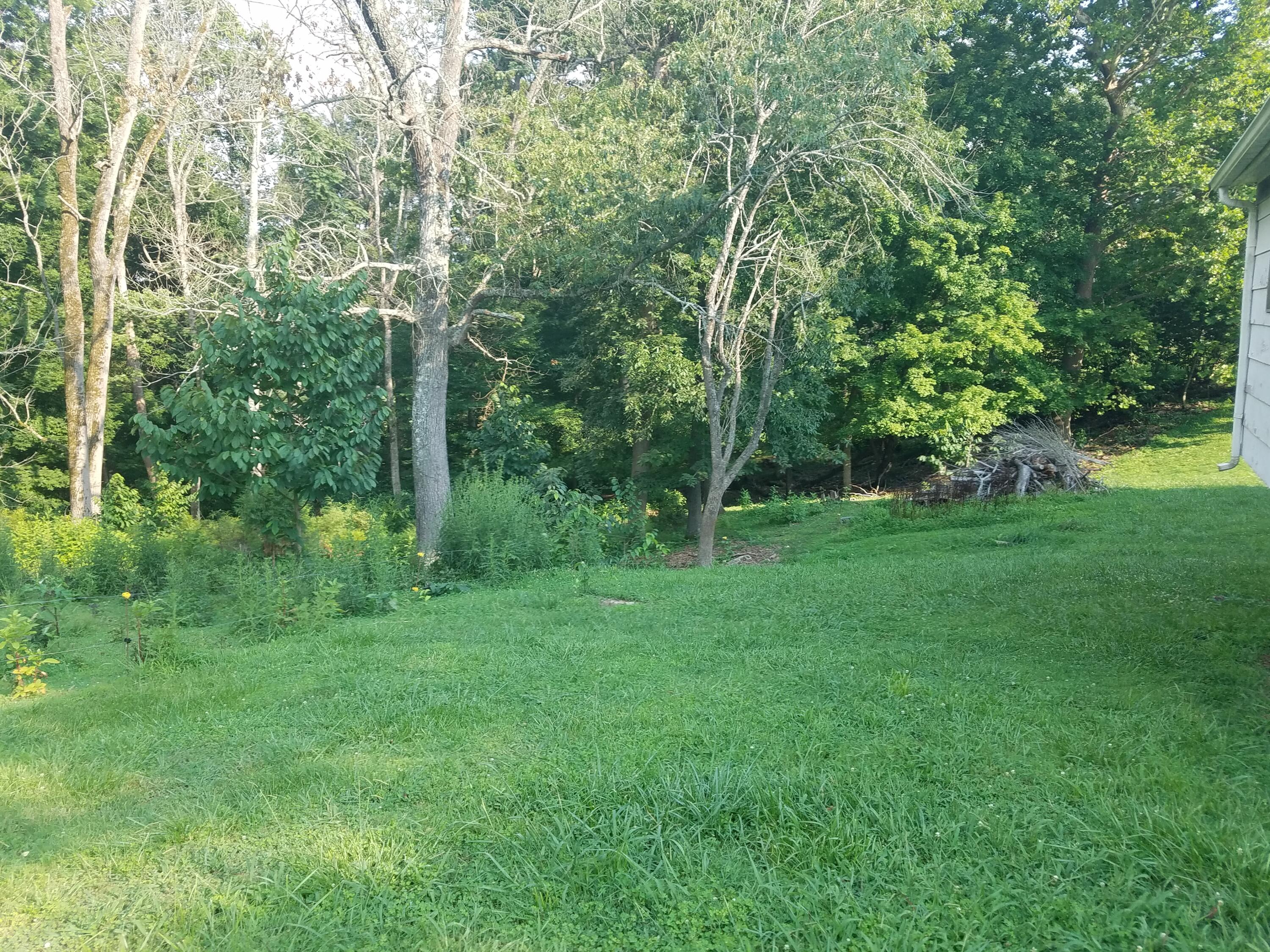 616 Haw Ridge Road Piney Flats, TN 37686 - Photo 5 of 20 20210727_180319