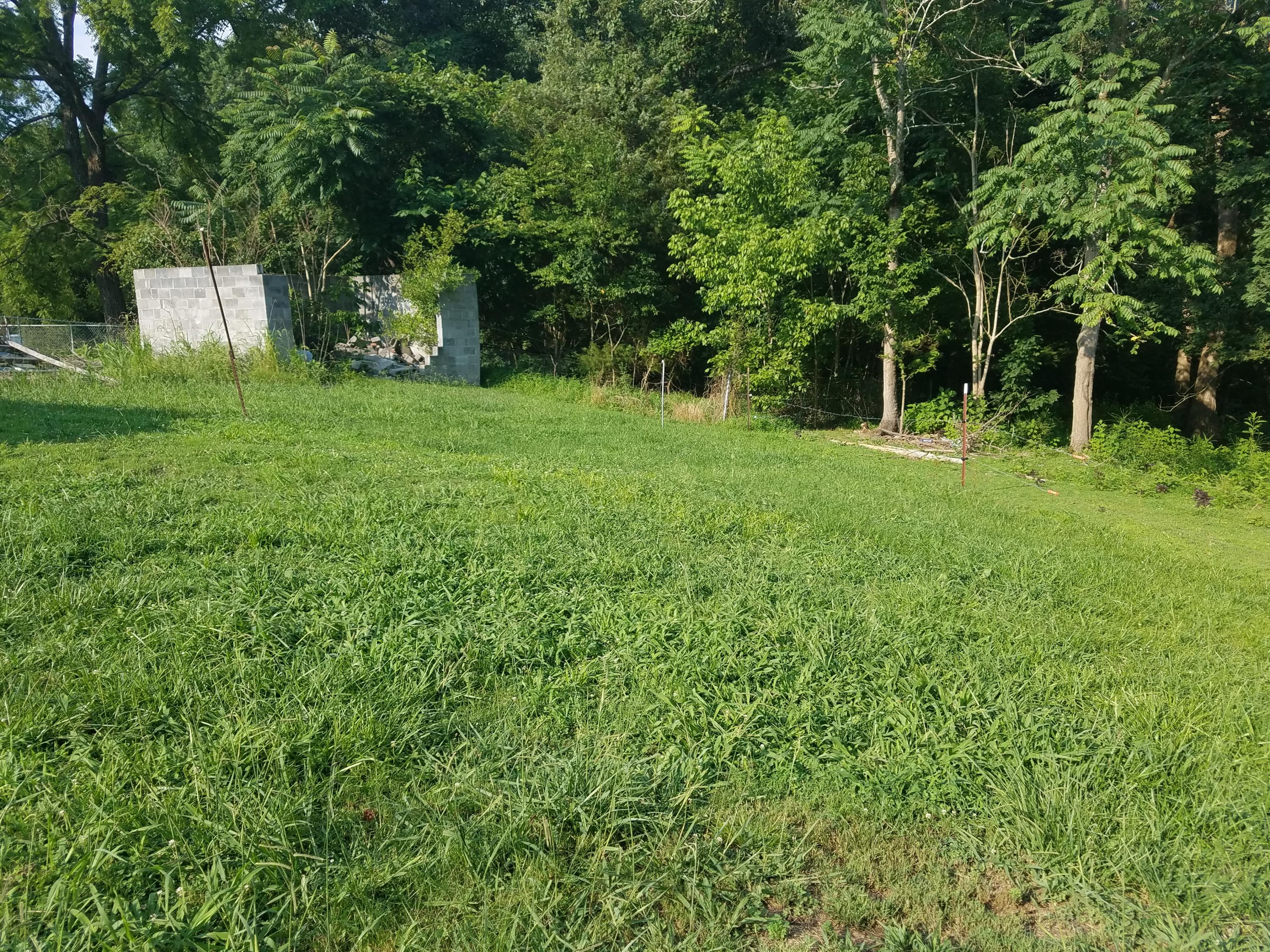 616 Haw Ridge Road Piney Flats, TN 37686 - Photo 6 of 20 20210727_180324