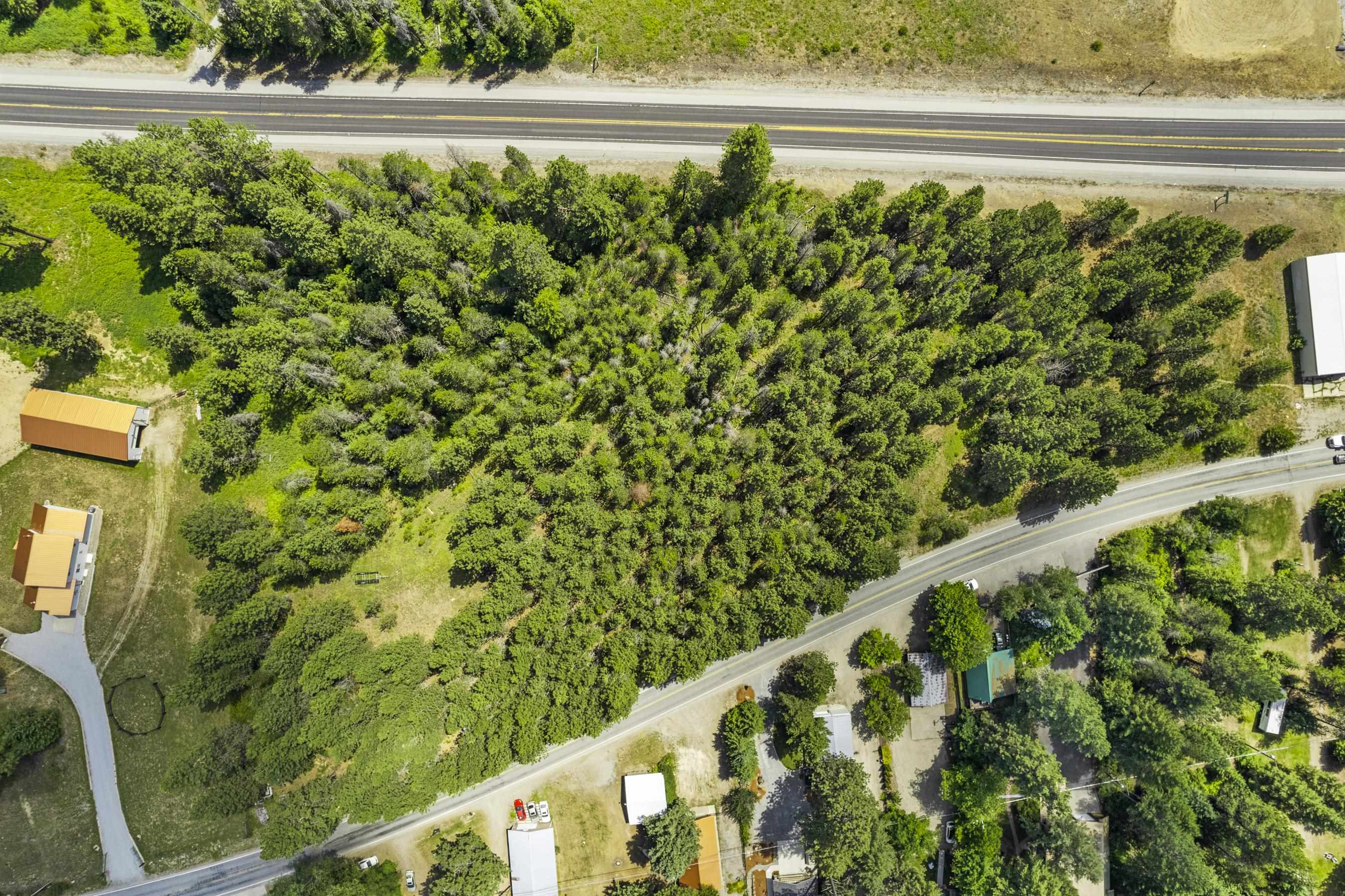 Tbd South Shore Diamond Lake Road Newport, WA 99156 - Photo 21 of 25