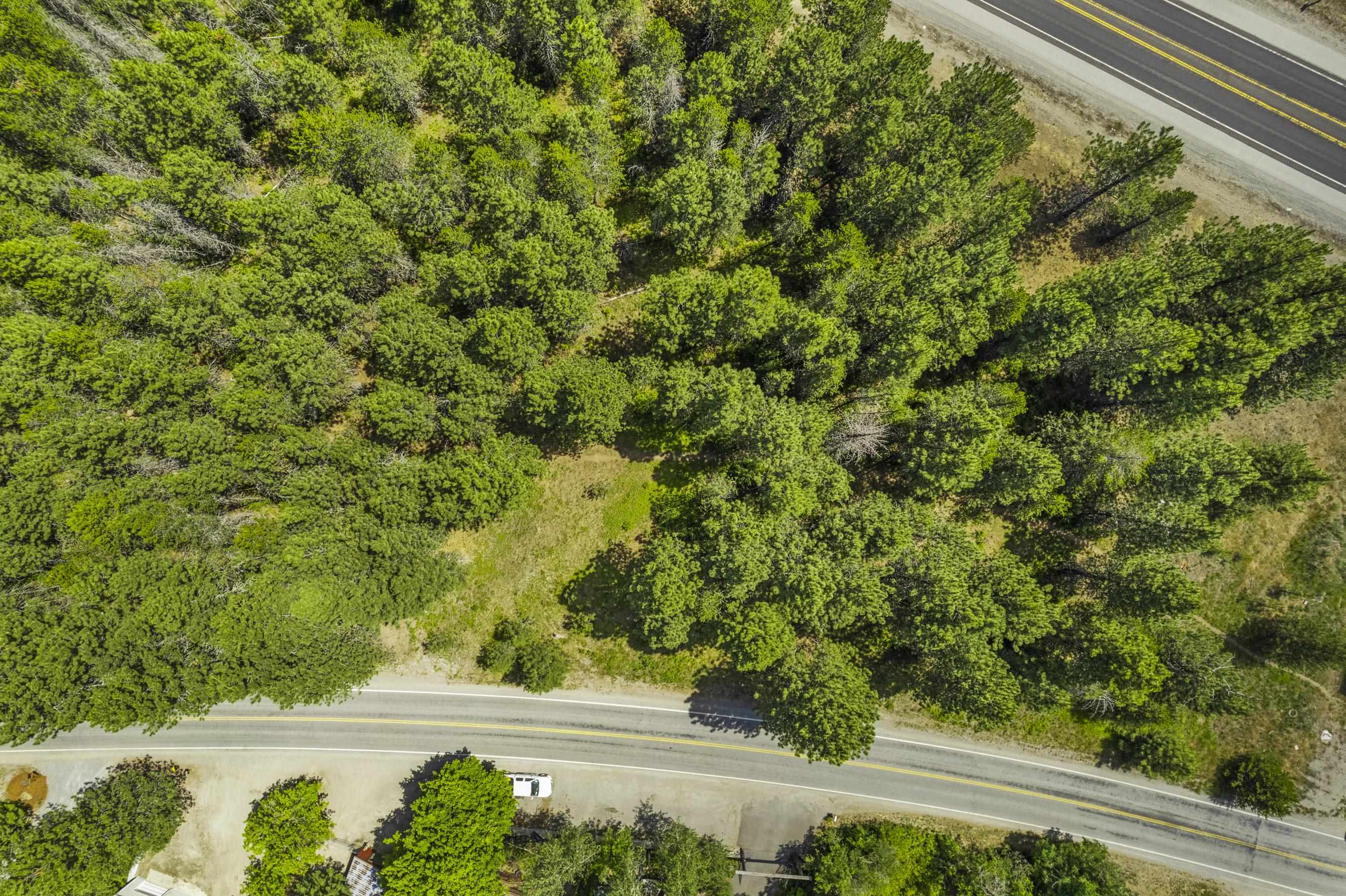 Tbd South Shore Diamond Lake Road Newport, WA 99156 - Photo 23 of 25