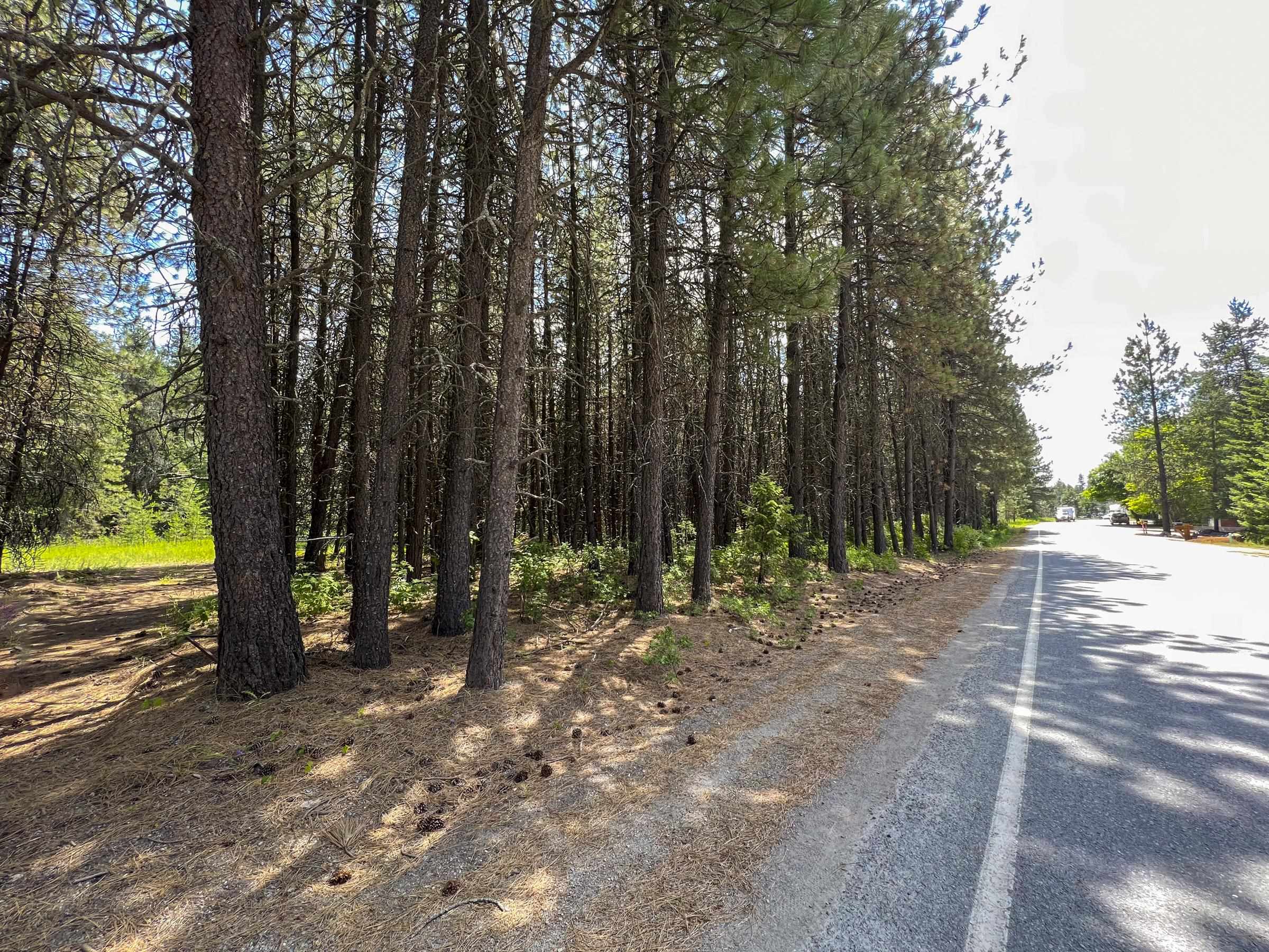 Tbd South Shore Diamond Lake Road Newport, WA 99156 - Photo 25 of 25