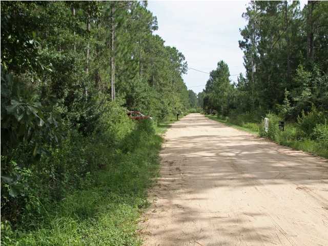 17 South 3rd Street Santa Rosa Beach, FL 32459 - Photo 3 of 4 a view of empty space with trees all around