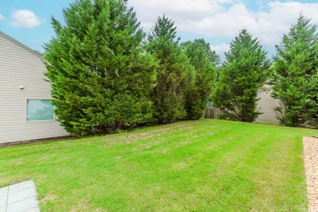 a view of a yard with a tree