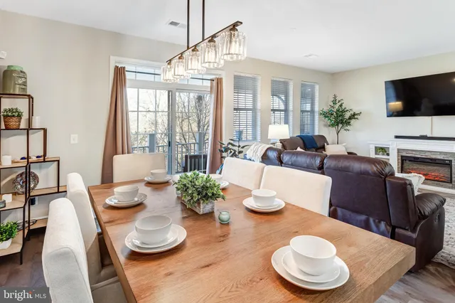 a living room with furniture potted plant and a large window
