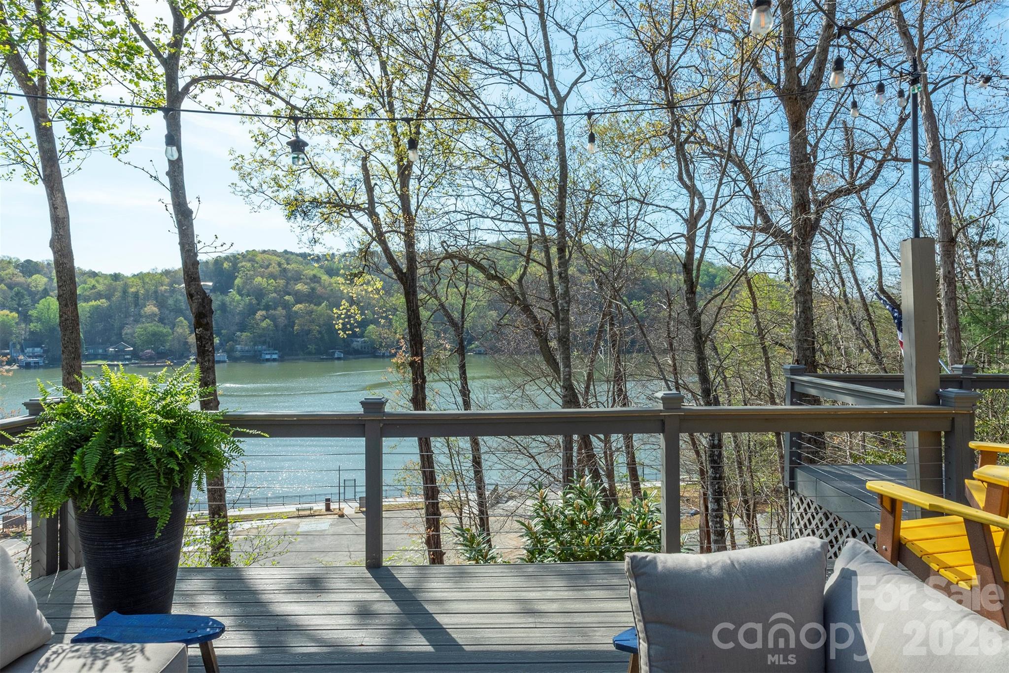 147 Watergate Road Lake Lure, NC 28746 - Photo 2 of 43
