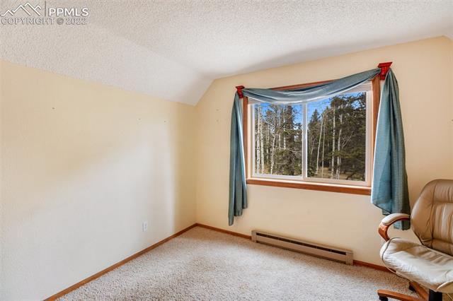 2096 Cedar Mountain Road Divide, CO 80814 - Photo 27 of 42 Gallery Image 27