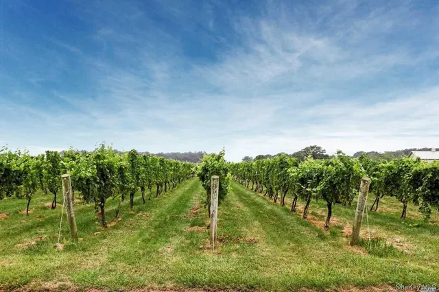 a city street lined with buildings and cars parked on the roadside
