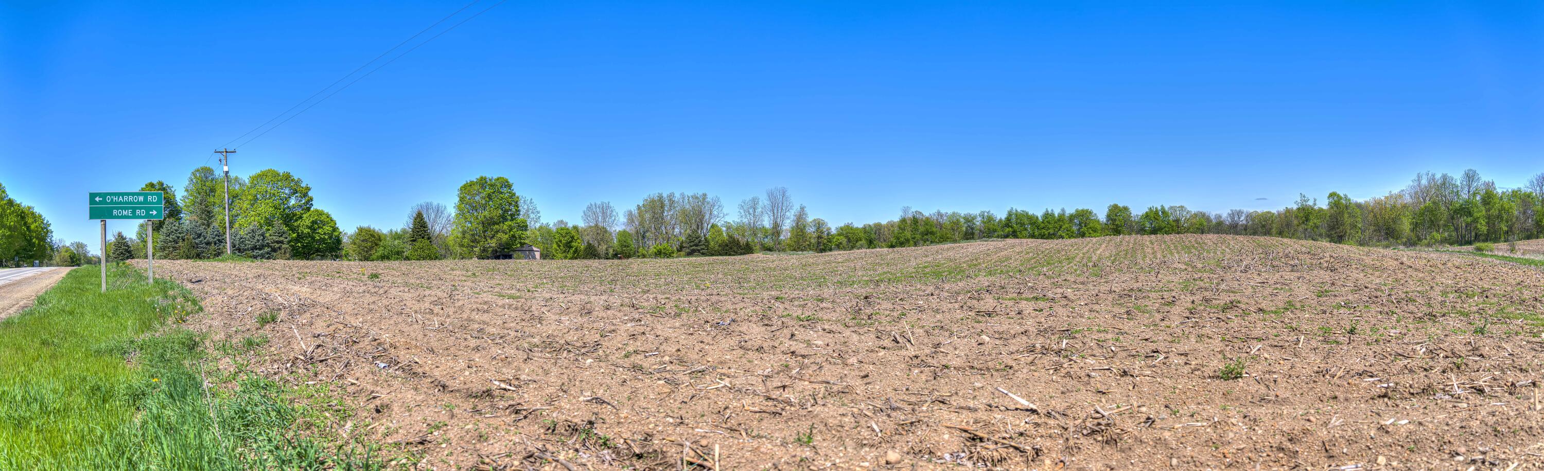 2951 North Meridian Road Hudson, MI 49247 - Photo 11 of 16 127 & Rome Rd 07