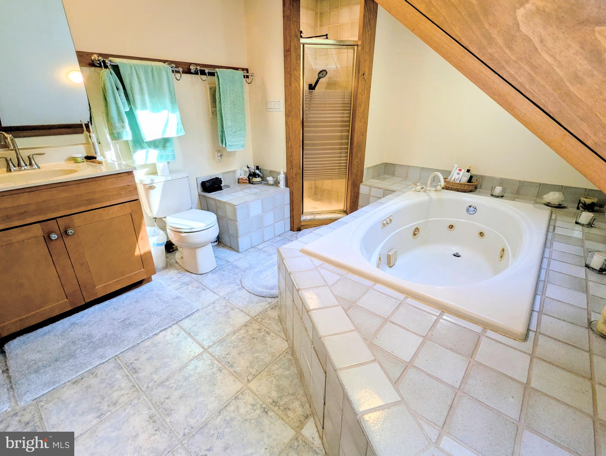 2006 Bennett Point Road Queenstown, MD 21658 - Photo 38 of 58 a spacious bathroom with a tub sink and mirror