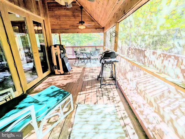 a view of backyard with a tree