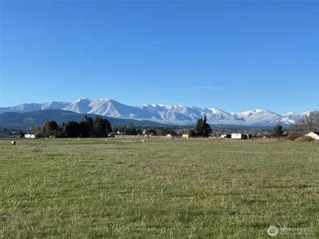 a view of an ocean and a yard
